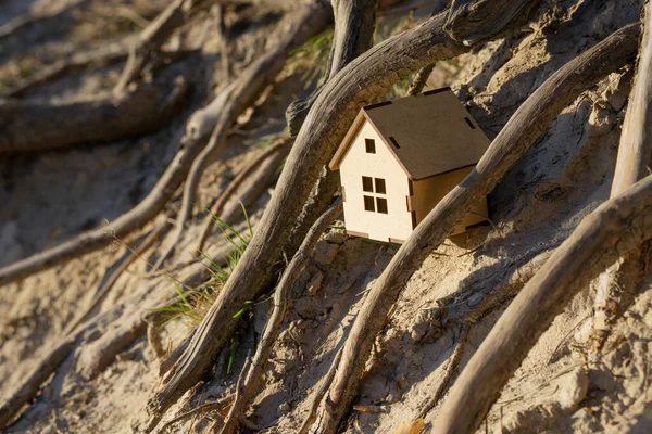 Miniature plywood toy house placed among big twisted tree roots on a sandy shore.