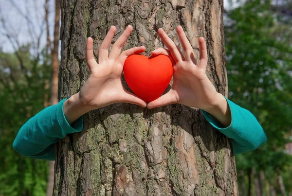 Kobieta Przytulająca Drzewo Pokazujące Czerwony Kształt Serca Lesie Pojęcie Miłości — Zdjęcie stockowe