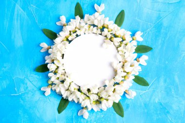 Mavi arkaplandaki beyaz akasya çiçeklerinden yapılmış güneş şekilli çiçek çerçevesi..