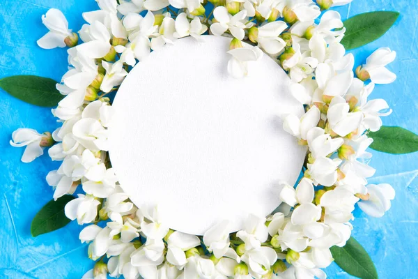 Mavi arkaplandaki beyaz akasya yapraklarından yapılmış boş daire çerçeve..