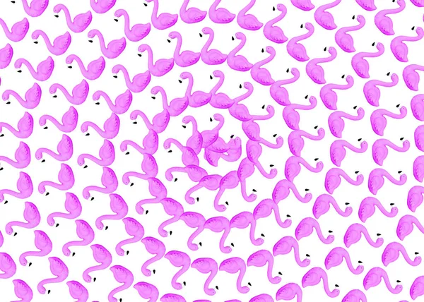 Pink Flamingo Exotic Spiral Background — Stockfoto