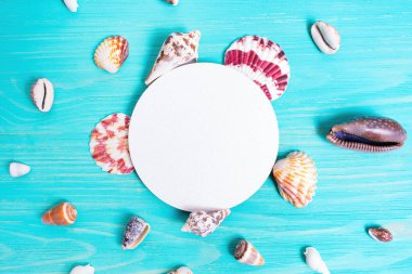 Egzotik sahil tatili geçmişi: mavi üzerine dağılmış deniz kabukları seçimi.