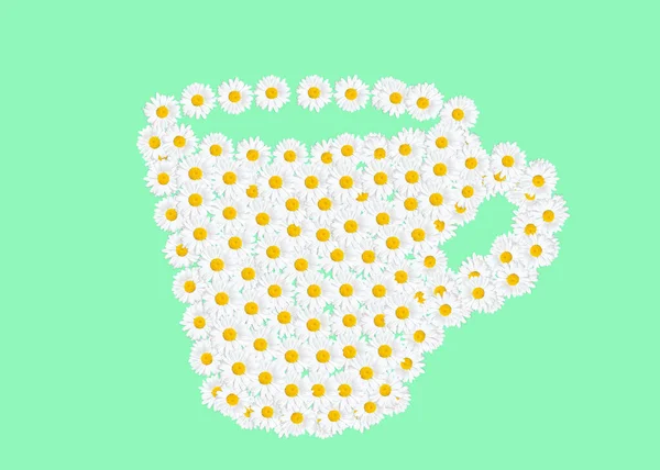 Chamomile Tea Cup Shape Made Blooming Daisies Isolated Light Green — Stock Photo, Image