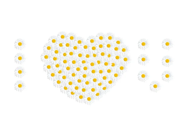 Floral Καρδιά Σας Σύνθεση Από Χαμομήλι Λουλούδια Τοποθετημένα Λευκό Φόντο — Φωτογραφία Αρχείου