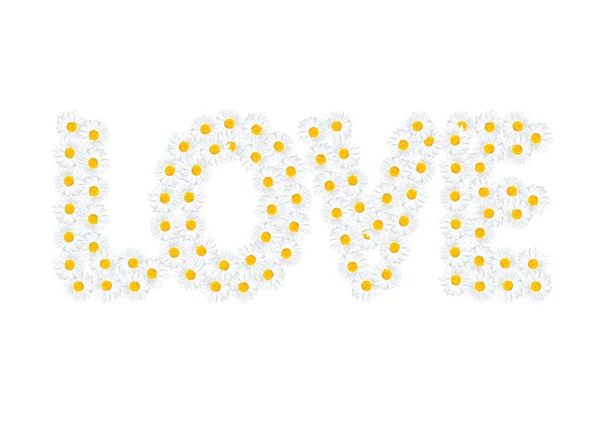 Слово Любовь Организовано Белых Ромашки Цветы Изолированы Белом Фоне Романтическая — стоковое фото