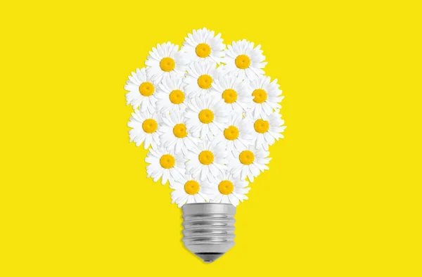 Alternative Power Concept Lightbulb Symbol Arranged Fresh Daisy Flowers Isolated — Stockfoto