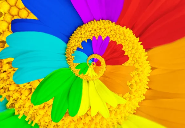 Rainbow Colored Daisy Abstract Infinite Spiral Background Creative Nature Awakening — Zdjęcie stockowe