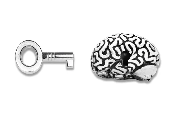 Human Brain Keyhole Silver Toned Skeleton Key Isolated White Background — Zdjęcie stockowe