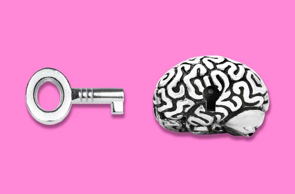 Human brain with a keyhole and a master key isolated on pink background. Key to a healthy mindset and sound relationships.