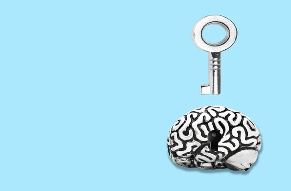 Silver-toned master key floating over an anatomical human brain copy having a keyhole isolated on blue background. Key to mental wellbeing.