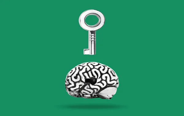 Silver-toned master key floating over an anatomical human brain copy having a keyhole isolated on green background. Key to success concept.