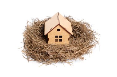 Bird's nest with a small wooden house isolated on white. Mortgage concept.