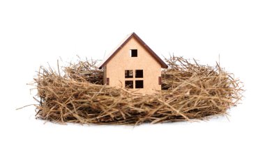 Miniature self-assembly house model in a bird's nest isolated on white. Home insurance and protection concept.