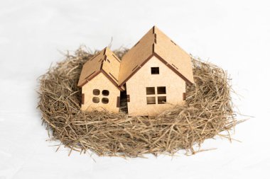 Two freshly built house models placed in a bird's nest isolated on white. Family concept.