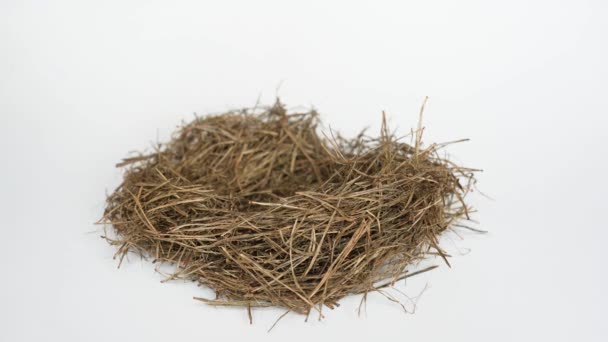 Hands Placing Miniature Wooden House Hay Nest Isolated White Background — Vídeos de Stock