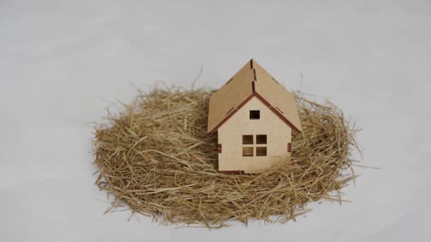 Hands Make Hay Nest Place Miniature Wooden House Isolated White — 图库视频影像