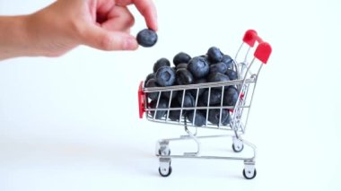 Hand taking ripe blueberries from a miniature push cart isolated on white background.