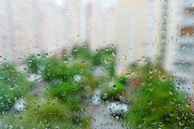 View from the apartment window on a rainy summer day, focus on foreground.