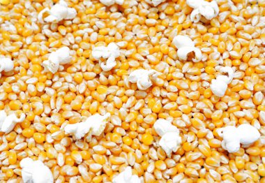 Abstract background made from unpopped and popped corn kernels