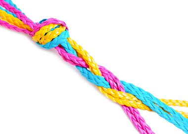 Group of multicolored flat leather cords braided together isolated on white background. Bright integration concept.