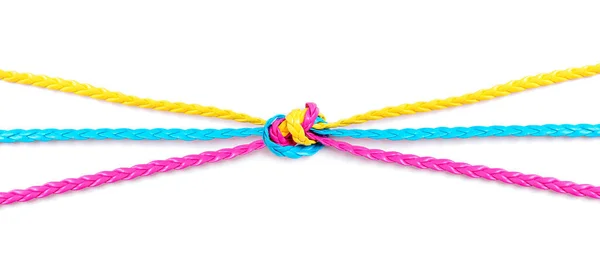 Colorful Flat Leather Braided Cords Diverge Sides Large Knot Center — Stockfoto