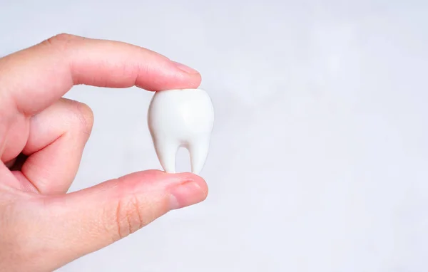 Hand pinch-holding a large white tooth isolated on a neutral background with copy space. Teeth care concept.