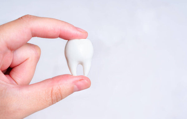 Hand pinch-holding a large white tooth isolated on a neutral background with copy space. Teeth care concept.