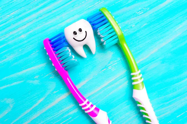 Funny tooth character between two colorful toothbrushes isolated on a blue wooden background. Daily dental hygiene routine for children.
