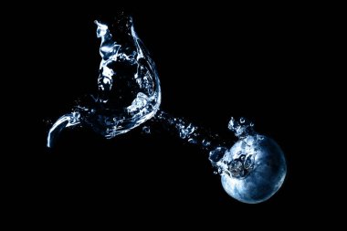 Fresh blueberry splashed into water against black background