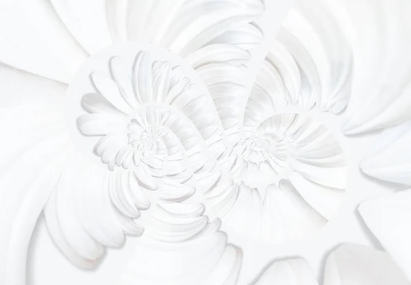 Abstract infinite loop background made from white daisy petals