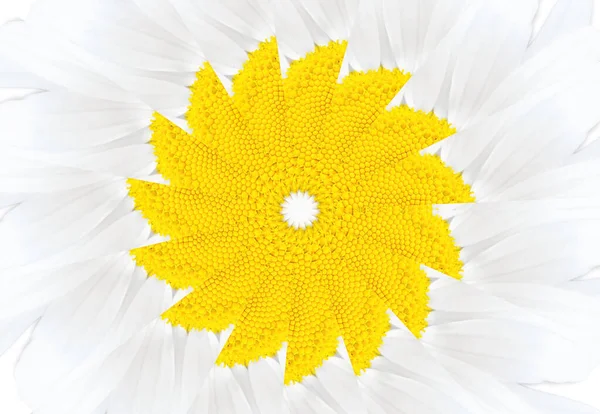 Abstract Chamomile Flower Background — Stock Photo, Image