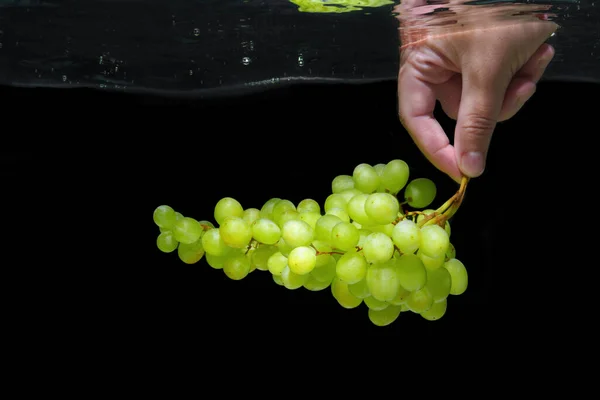 Bunch of white grapes in hand underwater isolated on black background.