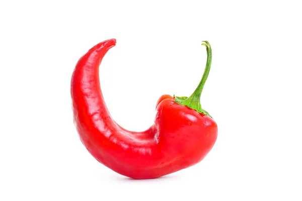 Curled Red Chili Pepper Isolated White Background Close Royalty Free Stock Photos