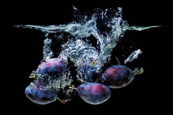 Bunch of purple damson plums dropped in water with splashes isolated on black background.