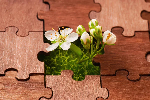 Fresh Blooming Tree Flowers Coming Missing Piece Wooden Jigsaw Puzzle — 图库照片