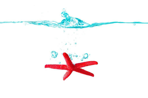 Red Starfish Sinking Underwater Splashes Isolated White Background — Zdjęcie stockowe