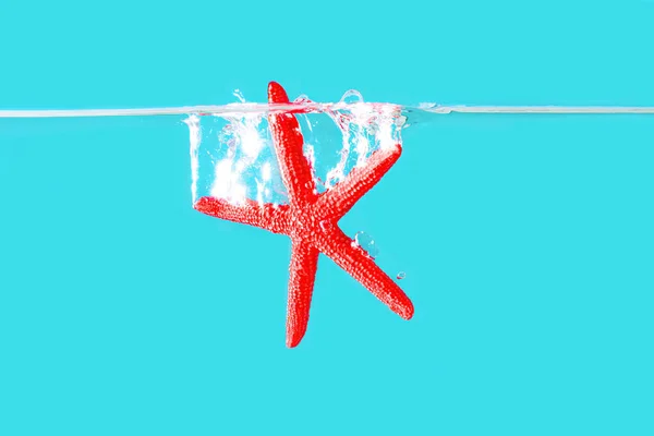 Red starfish figurine dropped underwater with splashes isolated on blue background