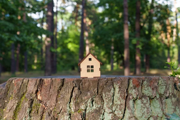 Casa Madeira Minúscula Colocada Grande Toco Árvore Floresta — Fotografia de Stock