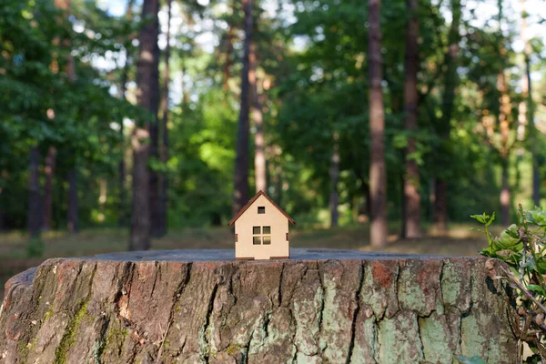 Modelo Casa Brinquedo Madeira Pequeno Colocado Grande Toco Árvore Floresta — Fotografia de Stock