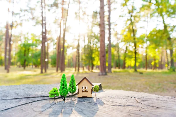 Toy home model and miniature trees placed on a tree stump in the woods. Creative forest real estate concept.