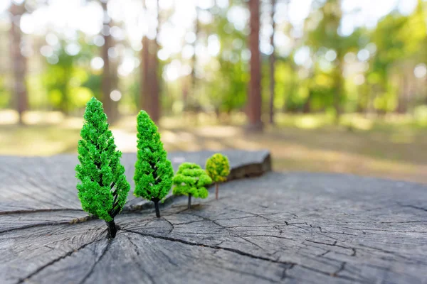 Configuração Floresta Miniatura Colocada Tronco Árvore Real Floresta Foco Seletivo — Fotografia de Stock