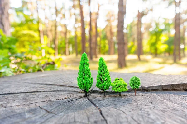 Grüne Spielzeugbäume Einer Reihe Auf Einem Baumstumpf Wald — Stockfoto