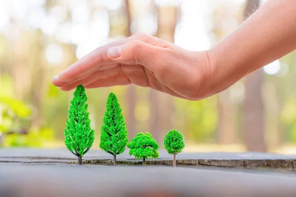 Hand covers a miniature toy forest outdoors. Creative save forest concept.