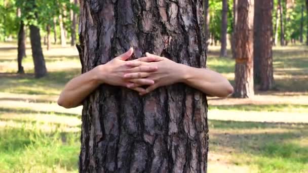 森の中に木の幹を抱く女性のクローズアップ — ストック動画