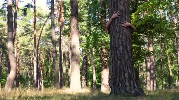 Крупним Планом Жіночі Руки Охоплюють Стовбур Дерева Лісі — стокове відео