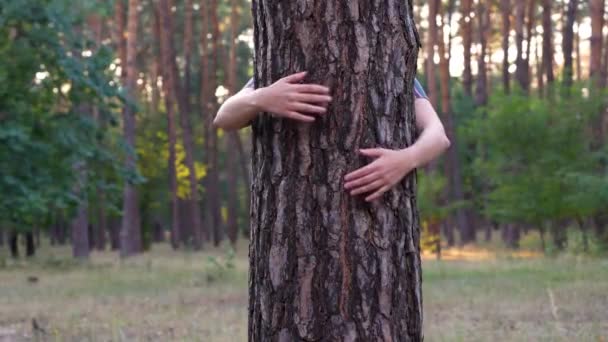 Close Dari Perempuan Memeluk Batang Pohon Hutan — Stok Video