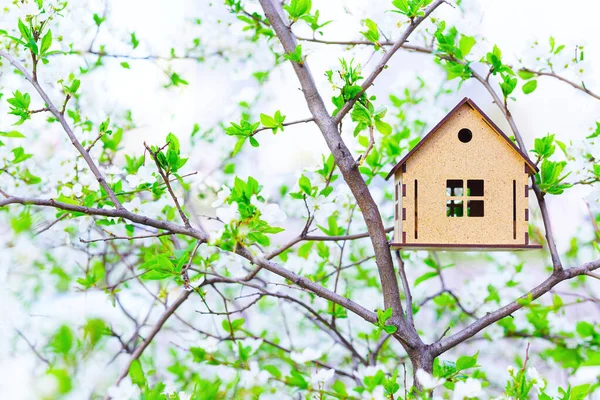 Casa Madeira Brinquedo Inacabada Colocada Uma Árvore Florescente Livre Conceito — Fotografia de Stock