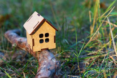 Sunlit oyuncak ahşap ev bir ağaç dalına yerleştirilmiş ormanda yerde yatıyor.