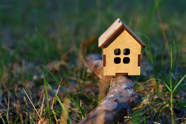 Casa Brinquedo Miniatura Colocada Galho Árvore Deitado Chão Floresta — Fotografia de Stock