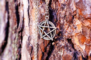 Pentagram sembolü kolyesini ağaç kabuğuna yakın plan..